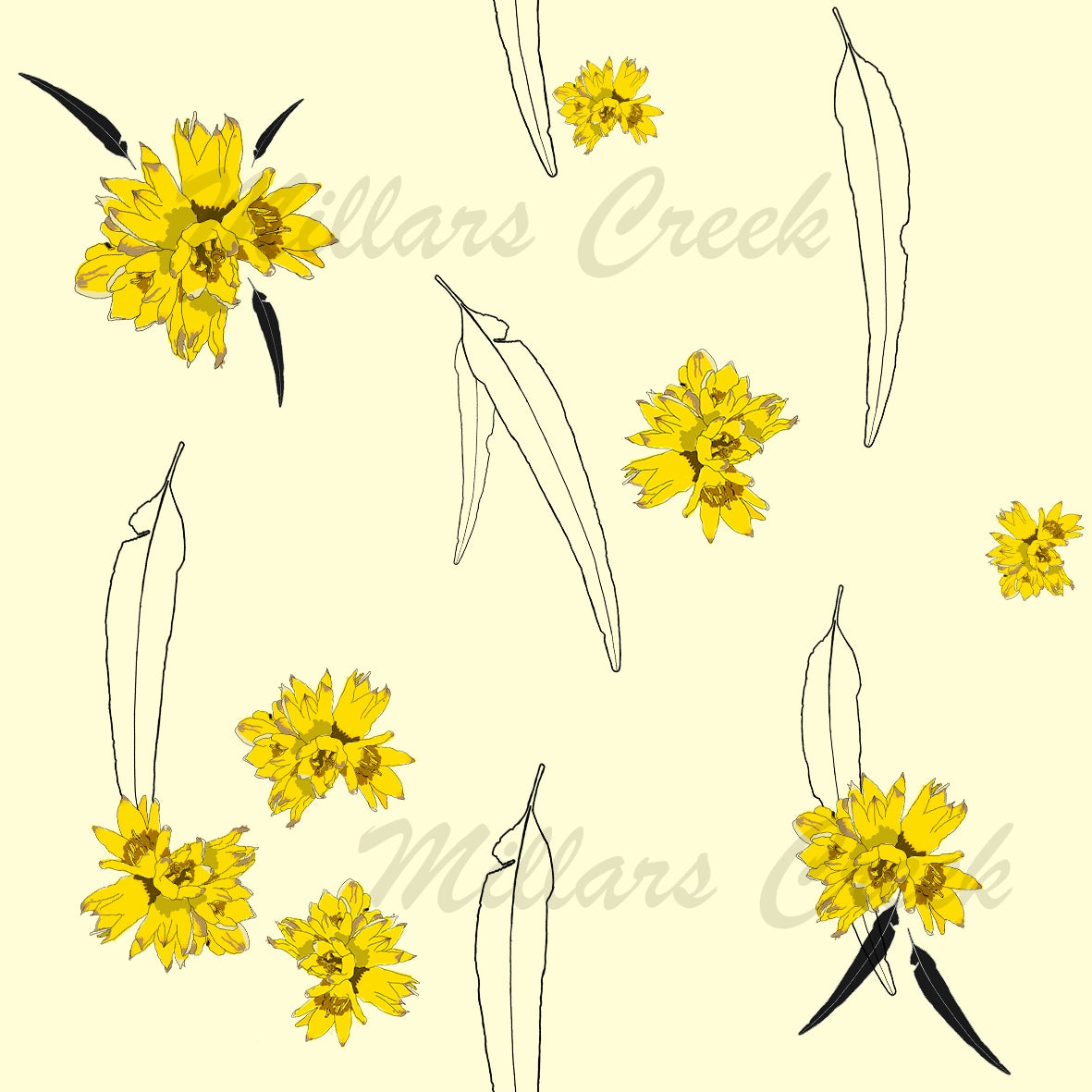 Millars Creek Djidi Djidi Butter Coord Preorder