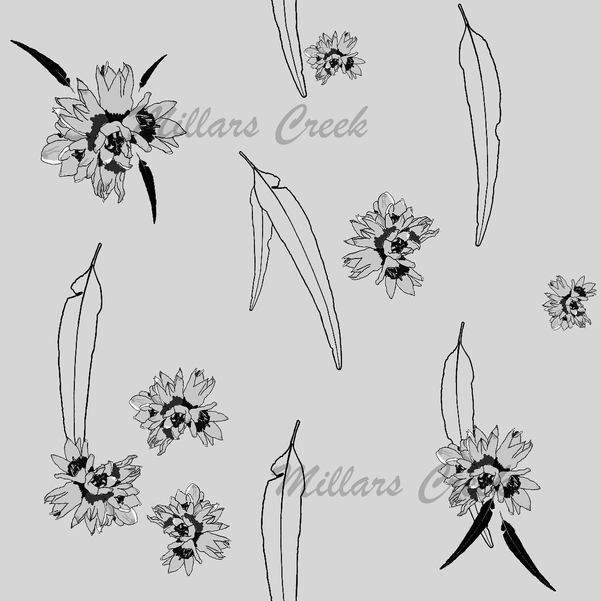 Millars Creek Djidi Djidi Grey Coord Preorder