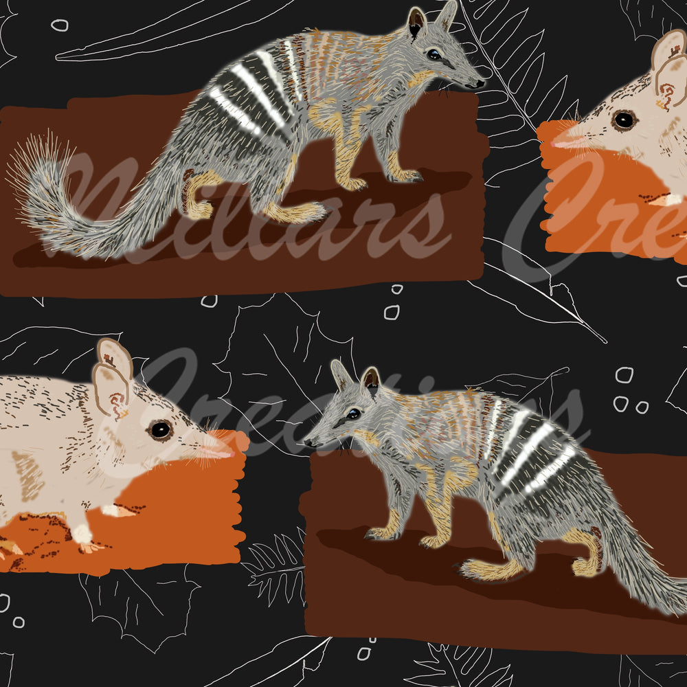 Millars Creek Dryandra Dark