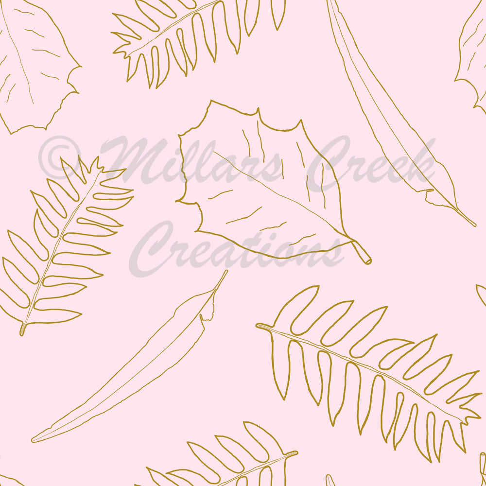 Millars Creek Dryandra Leaves Pink