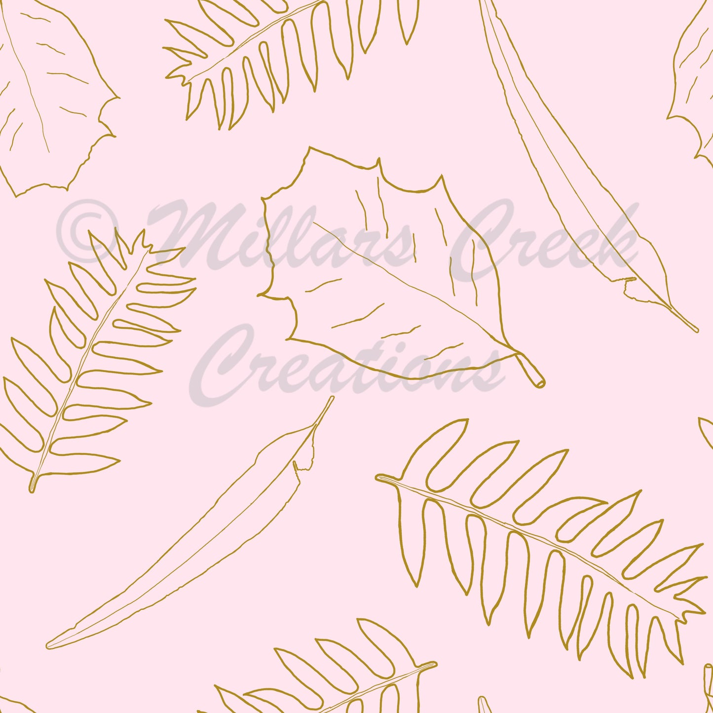 Millars Creek Dryandra Leaves Pink