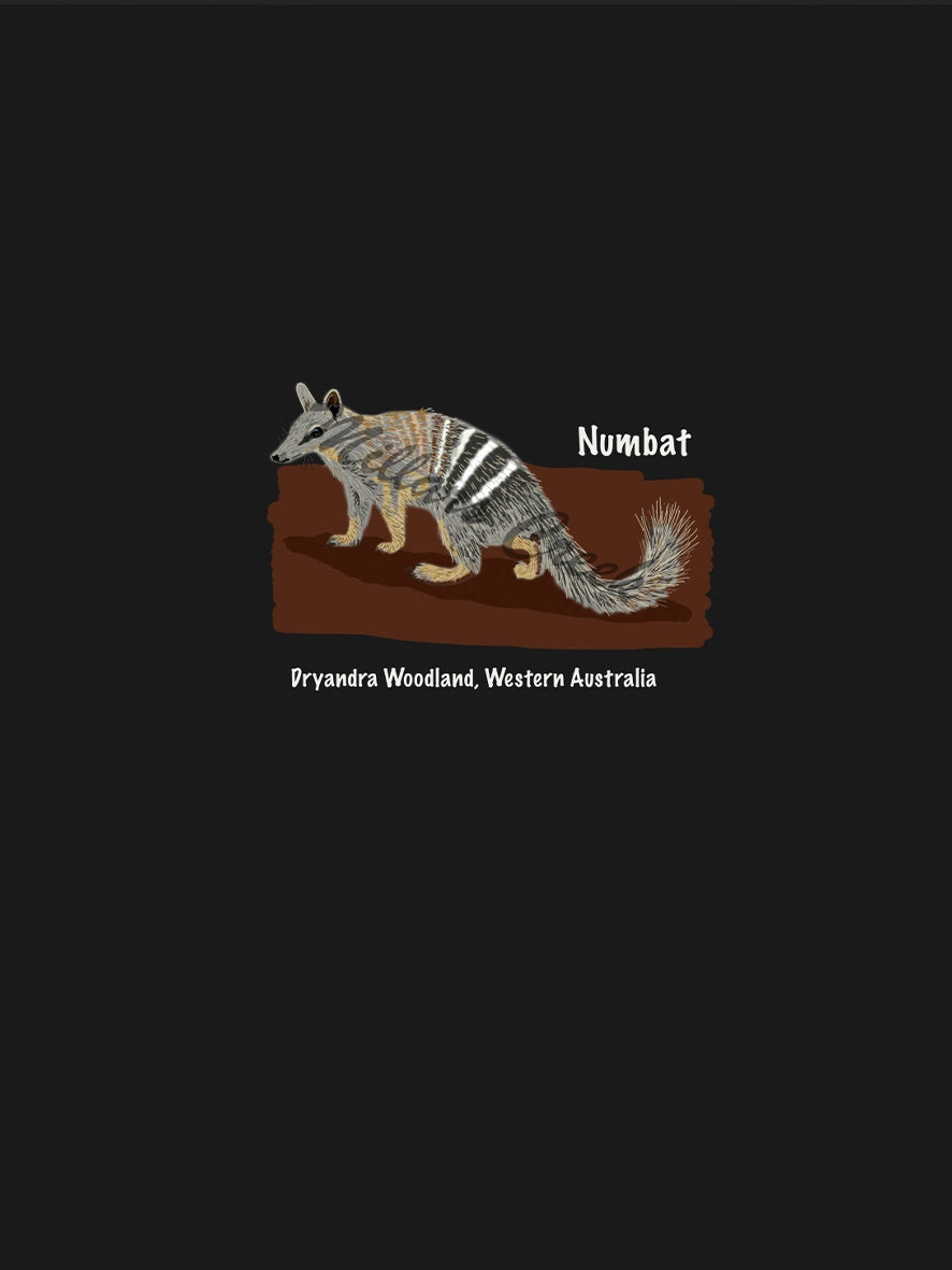 Millars Creek Adult Numbat Panel Preorder