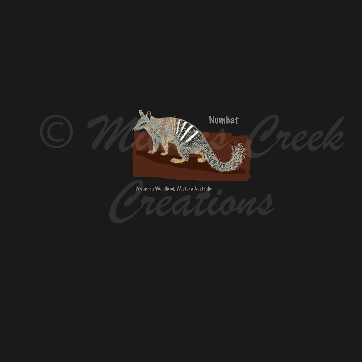 Millars Creek Child Numbat Dark Panel Preorder