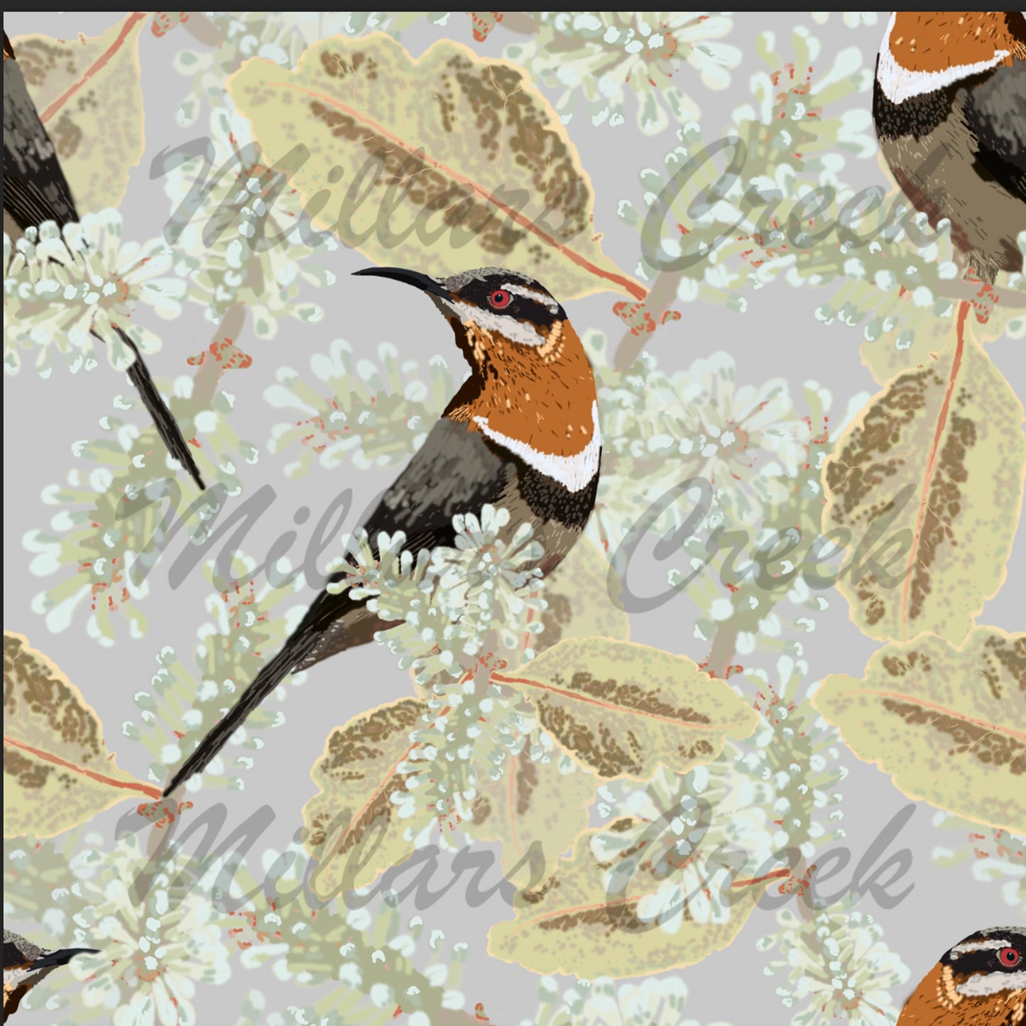 Millars Creek Wadandi Track Preorder