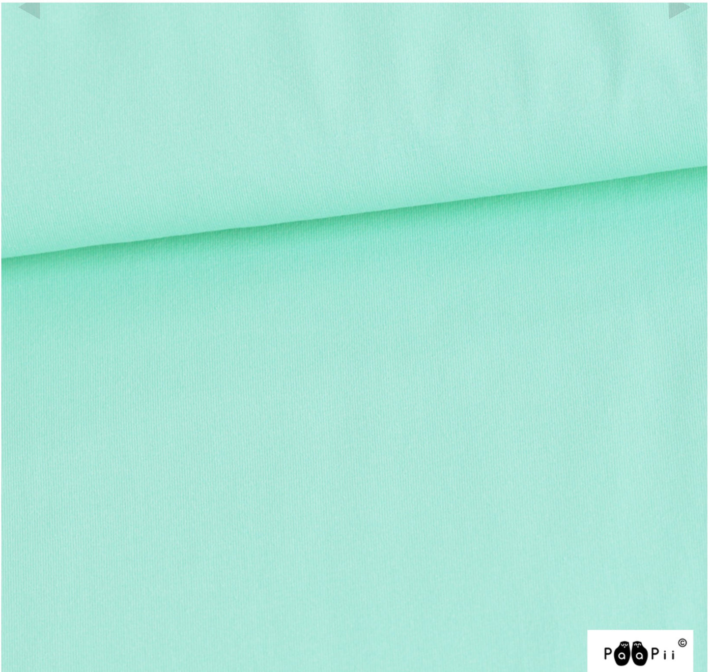 PaaPii Mint Green Solid Organic Cotton Lycra