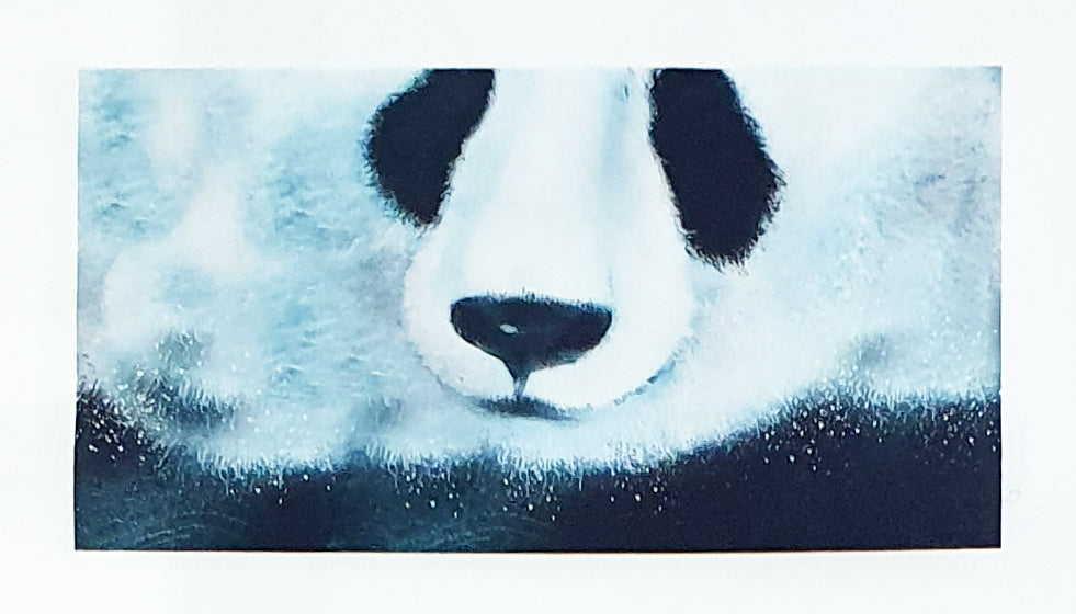 Lillestoff Panda Face Animal Face Mask Organic Cotton Face Mask Panel