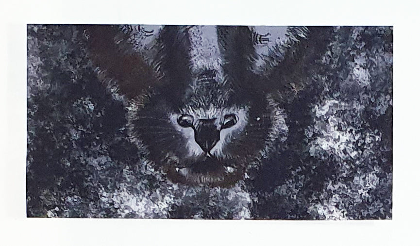 Lillestoff Black Panther Face Animal Face Mask Organic Cotton Face Mask Panel