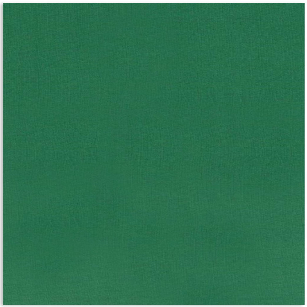 Euro Knit Emerald Green Solid Organic Cotton Elastane Jersey Fabric GOTS