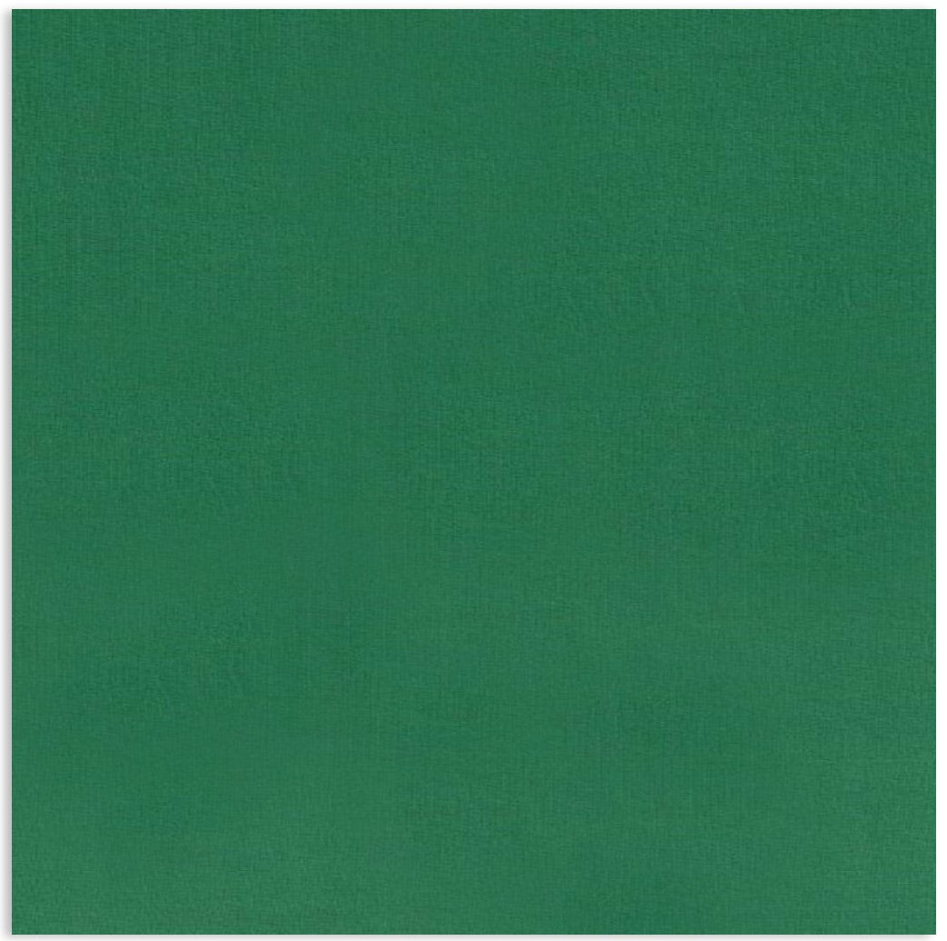 Euro Knit Emerald Green Solid Organic Cotton Elastane Jersey Fabric GOTS