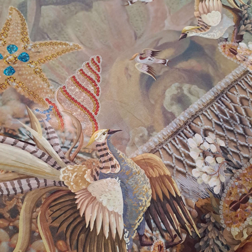 Stenzo Australian Seashell
