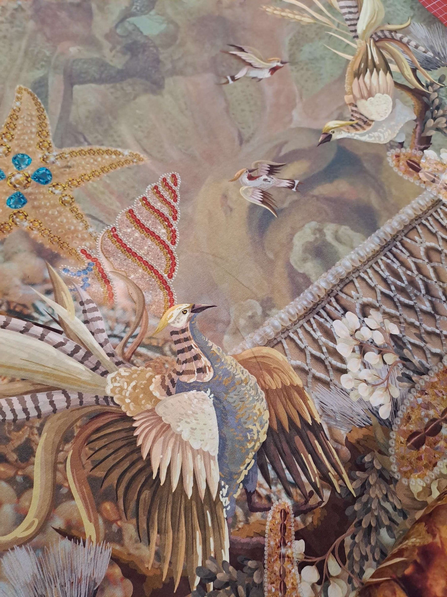 Stenzo Australian Seashell