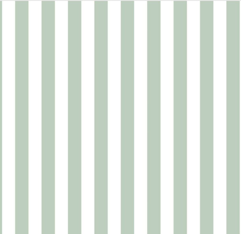 Tygdrommar Mint Green Vertical Lines Stripes Organic Cotton Knit Fabric
