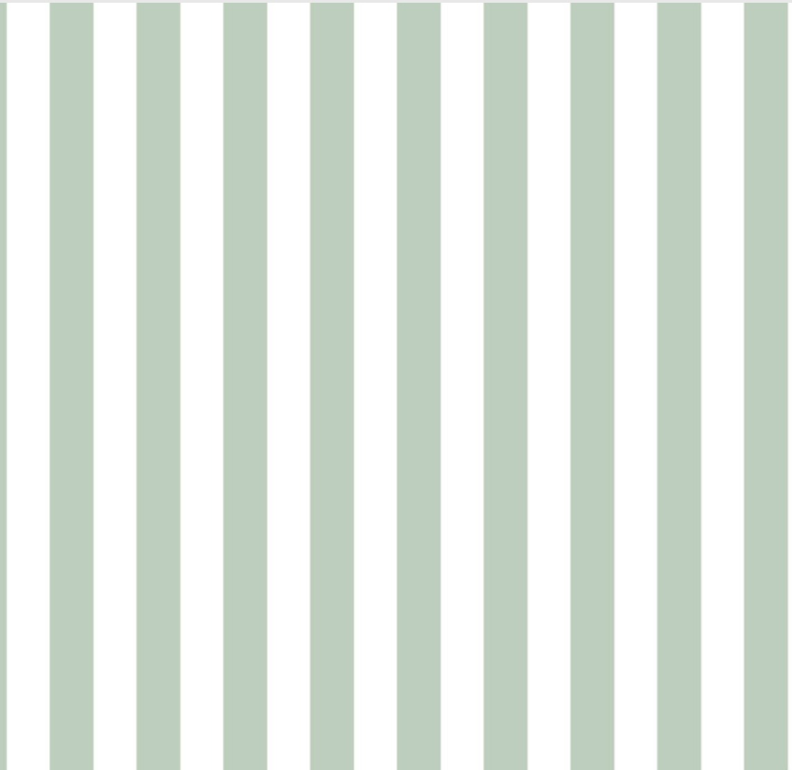 Tygdrommar Mint Green Vertical Lines Stripes Organic Cotton Knit Fabric