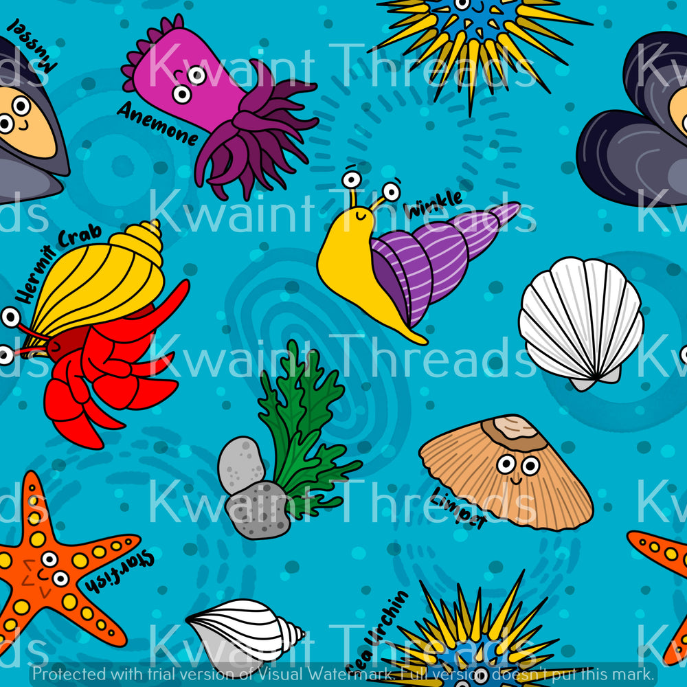 Rockpools