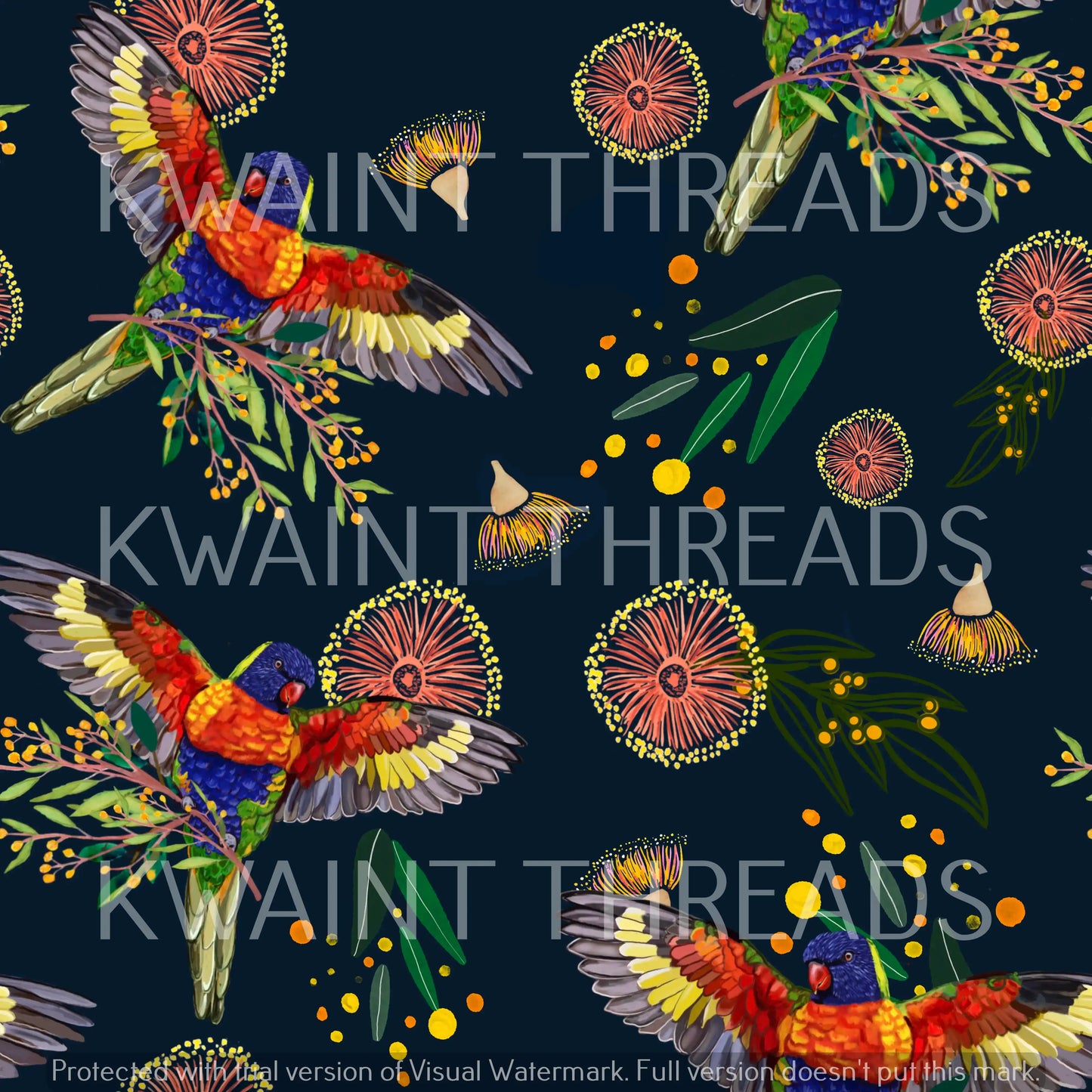 Etched Rosellas Black Preorder