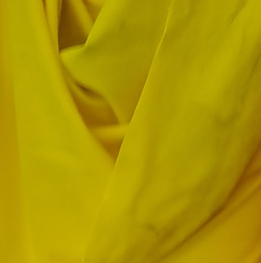 Sun Yellow UPF50+ Swim Lycra