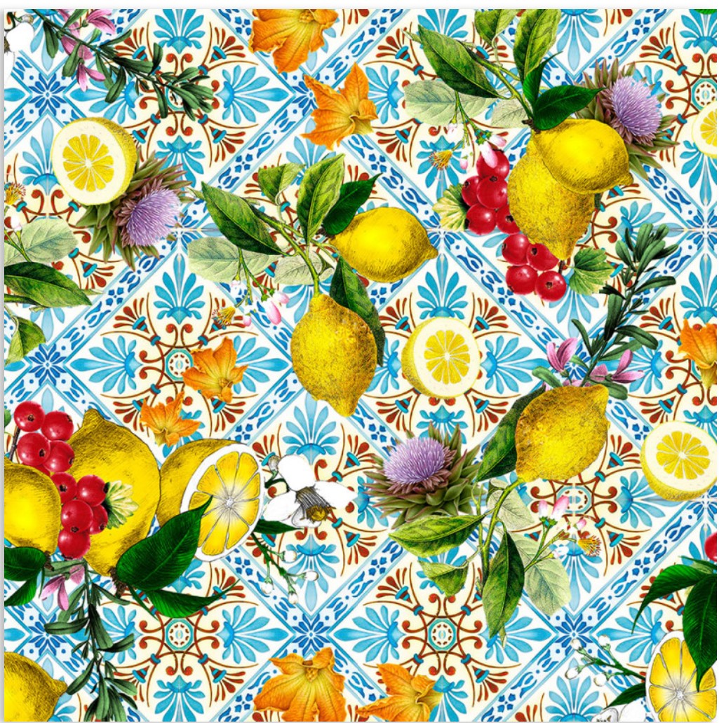 Morocco Citrus Organic Cotton Elastane Jersey Fabric GOTS Certified Knit Fabric