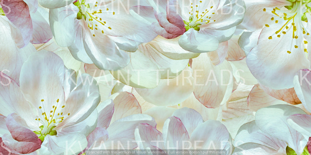Kwaint Closeup Flowers Preorder