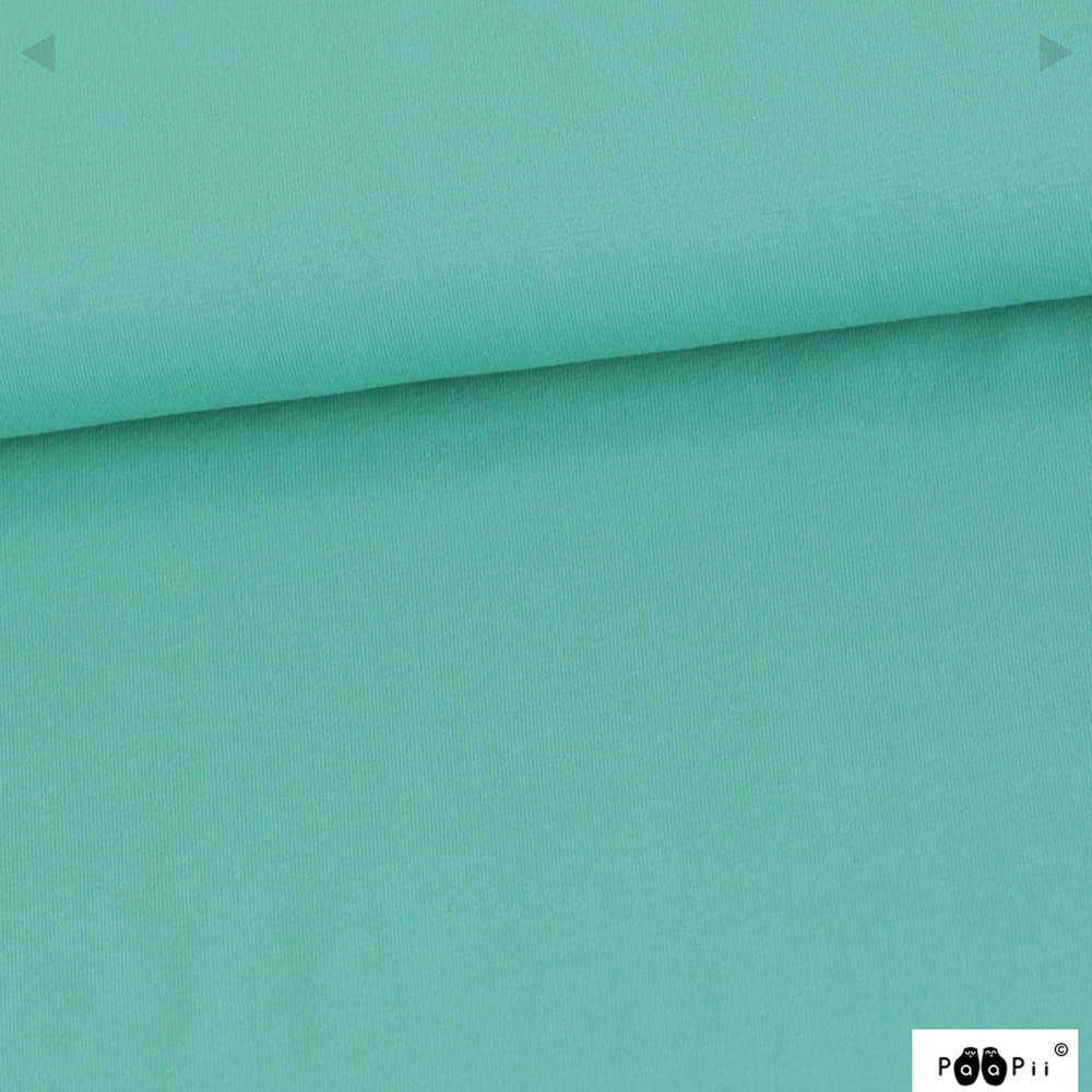 PaaPii Solid Turquoise Organic French Terry