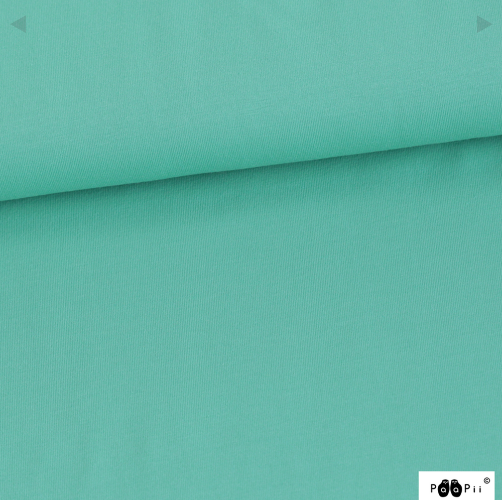 PaaPii Solid Turquoise Organic French Terry