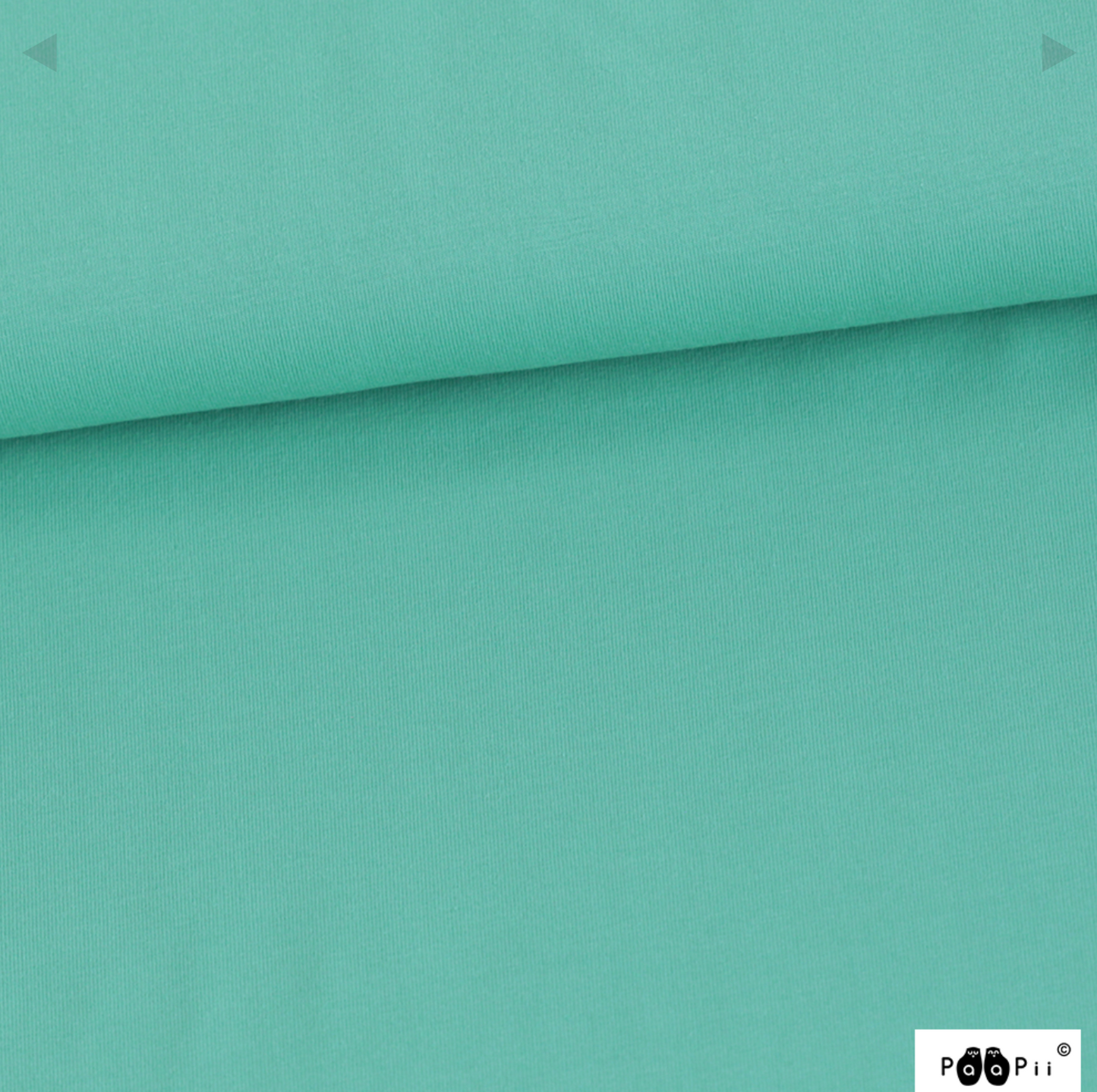 PaaPii Solid Turquoise Organic French Terry
