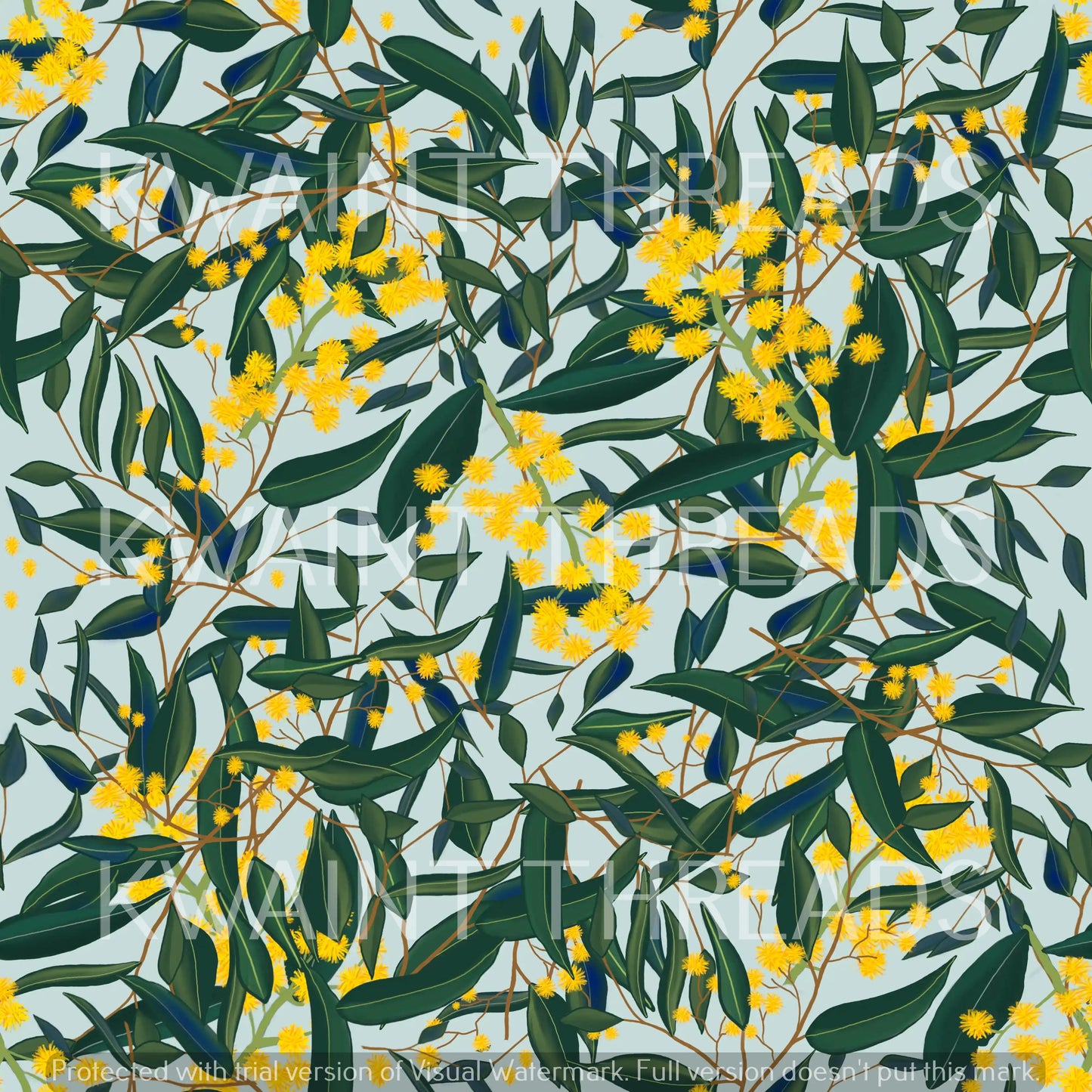 Etched Wattle Blue Preorder