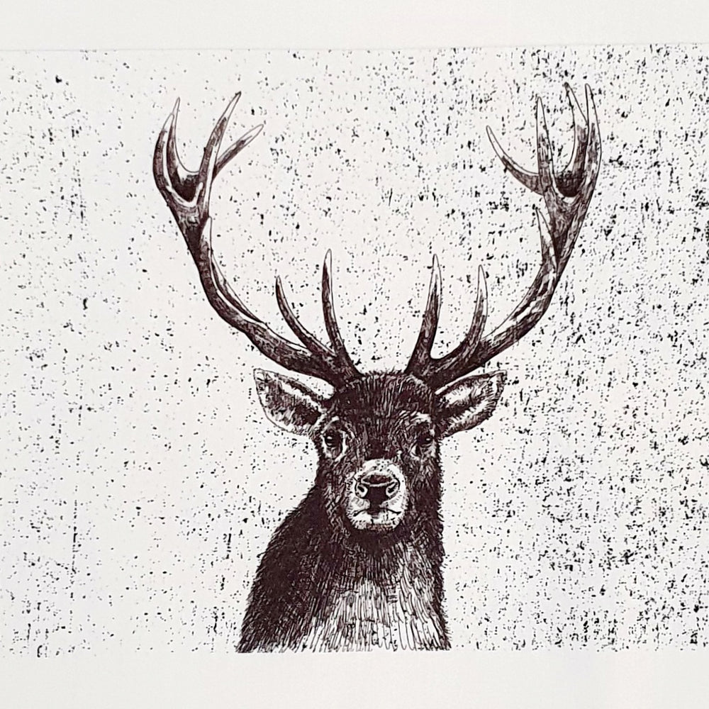 Lillestoff Sketched Elk Non Medical Face Mask Organic Cotton Face Mask