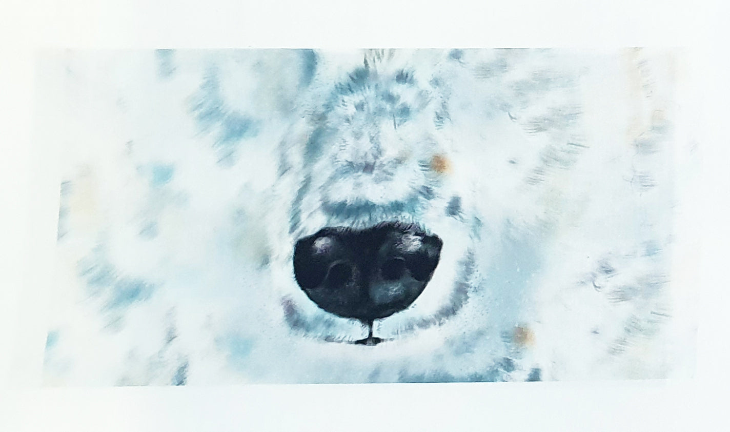 Lillestoff Polar Bear Face Animal Face Mask Organic Cotton Face Mask Panel