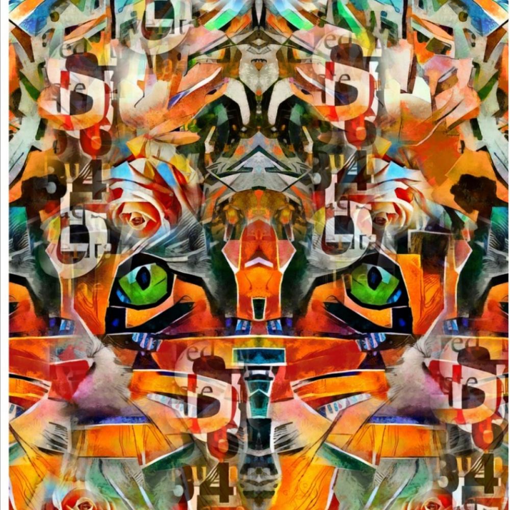 Stenzo Tiger Abstract