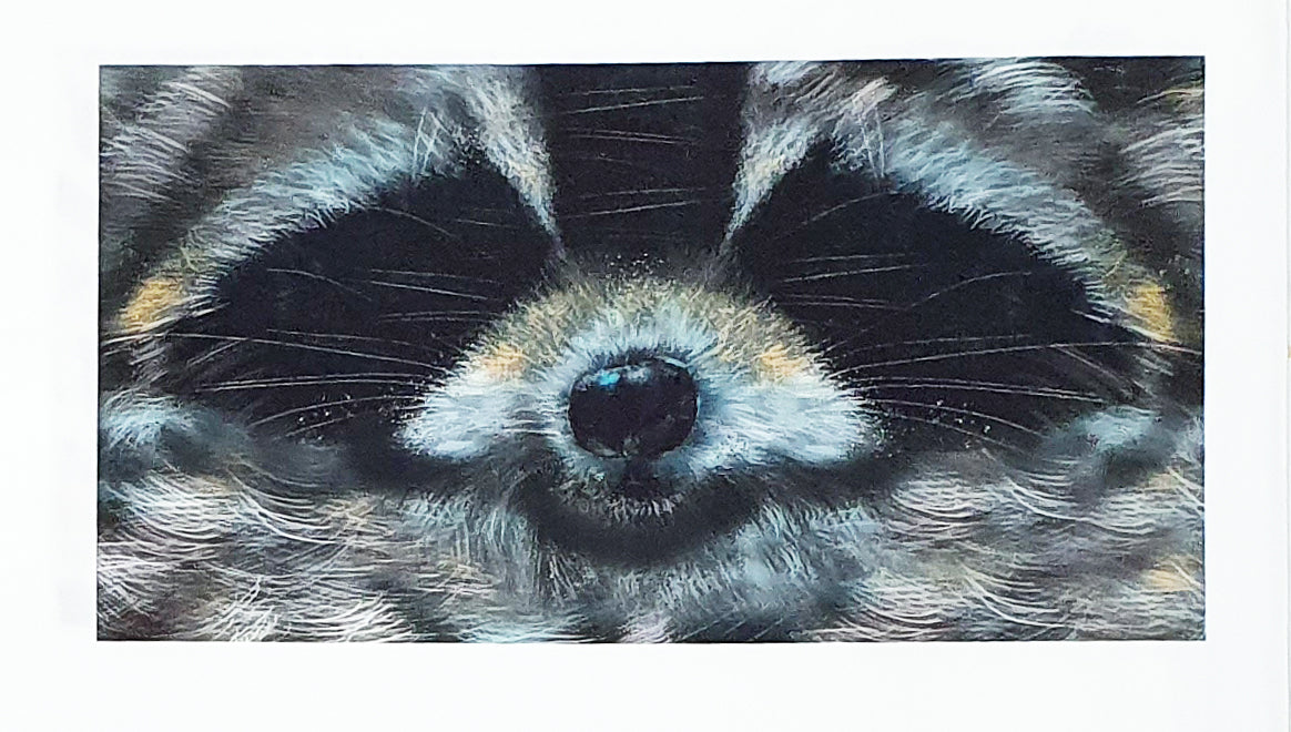 Lillestoff Raccoon Face Animal Face Mask Organic Cotton Face Mask Panel