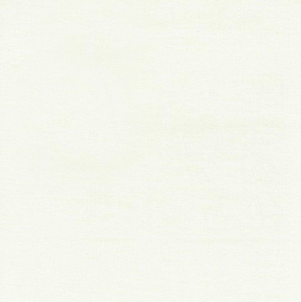 Euro Knit Off White Solid Organic Cotton Elastane Jersey Fabric GOTS