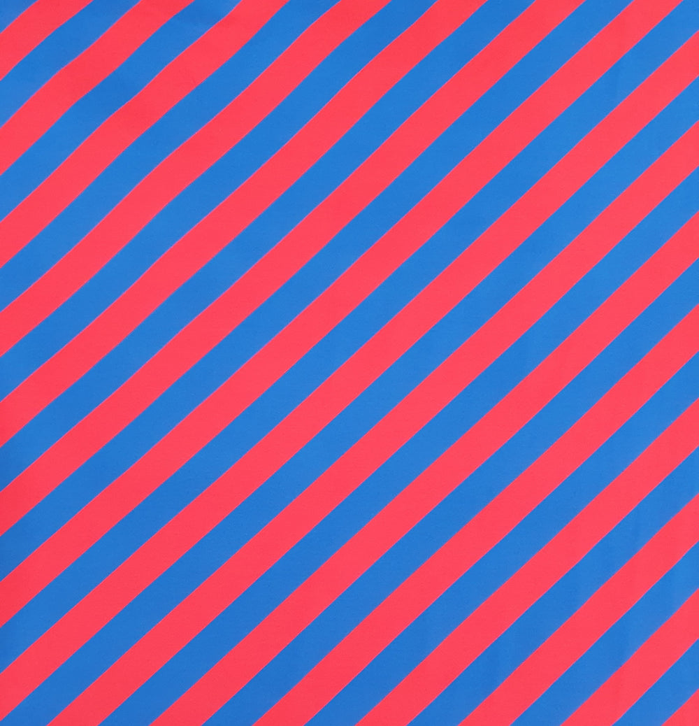 Colours in My Soul Blue Red Stripes Go Colorful Organic Cotton Lycra Knit Fabric