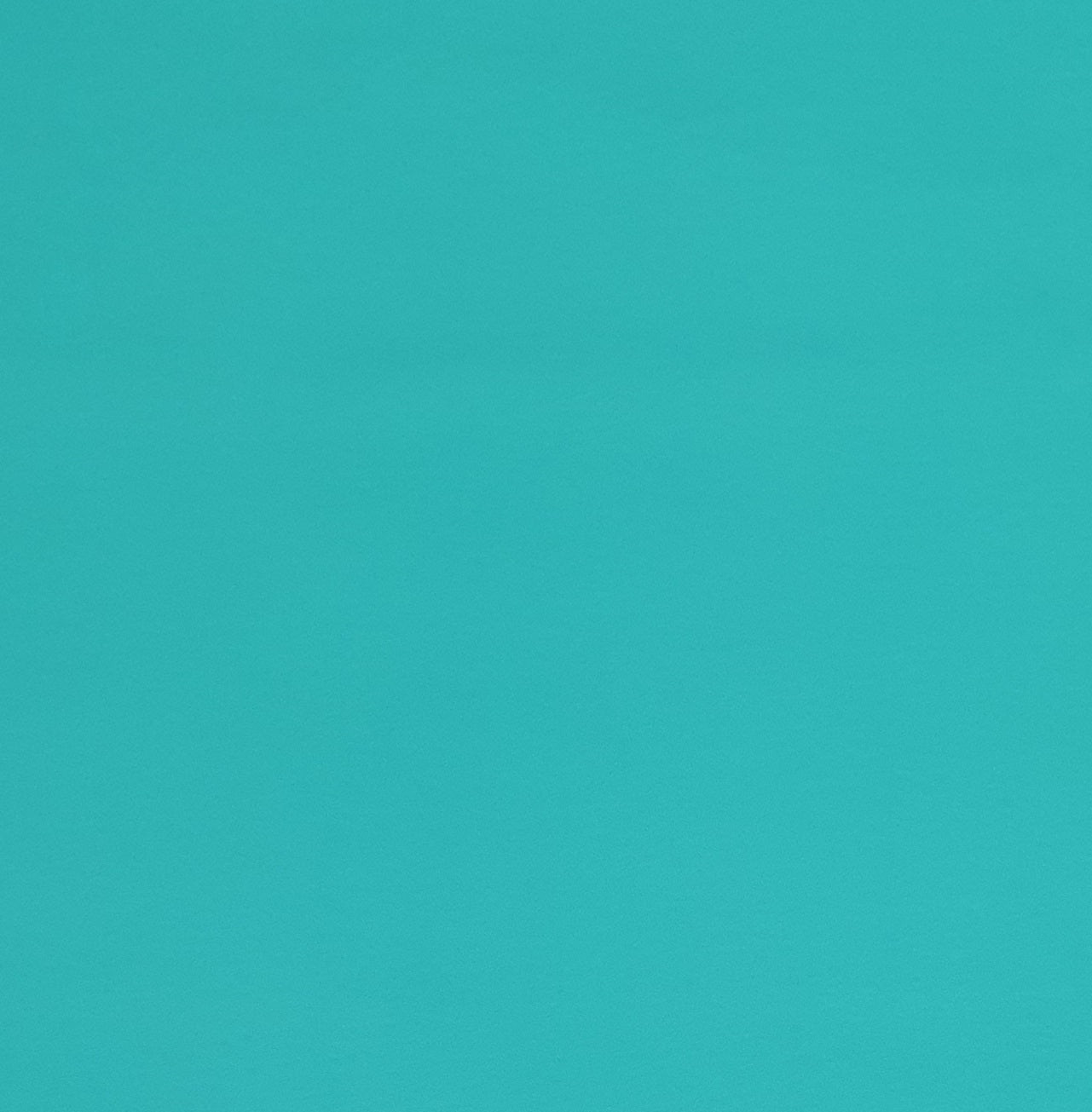 PaaPii Turquoise Blue Green Solid Organic Cotton Lycra