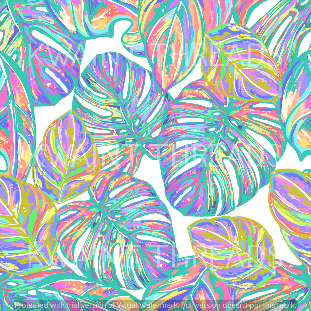 Kwaint Rainbow Monstera Preorder