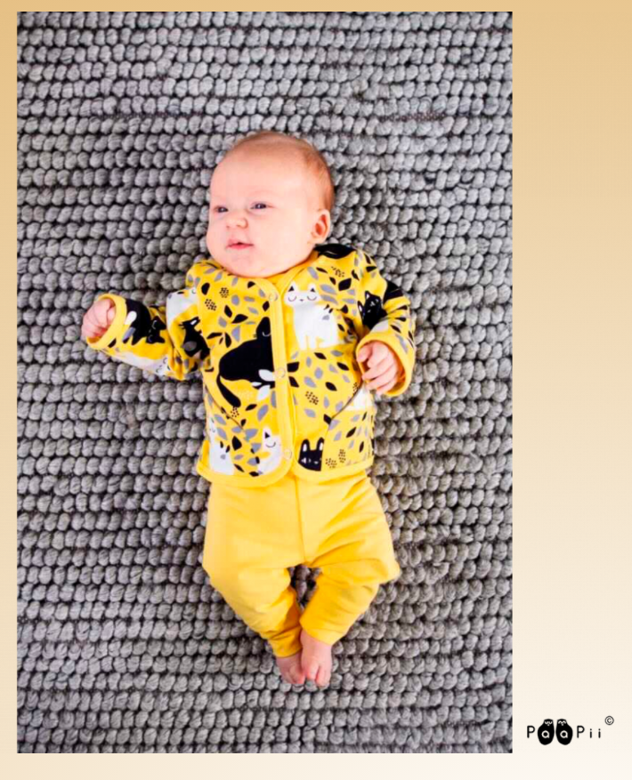 
                      
                        PaaPii Baby Pattern Book English
                      
                    