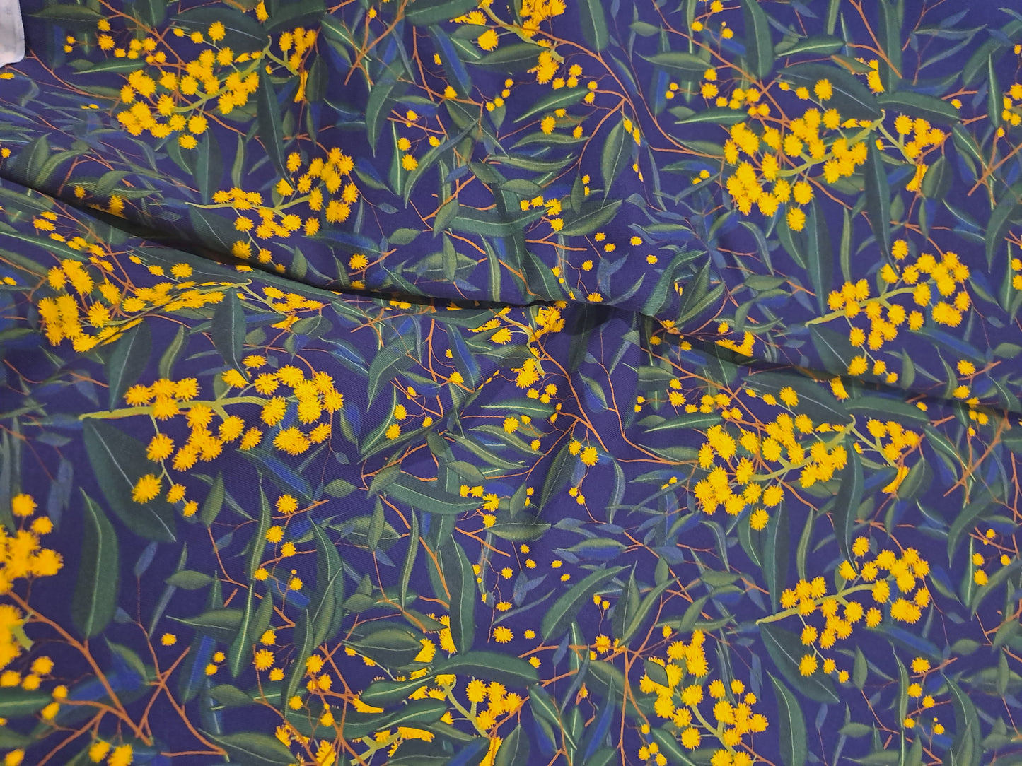 Etched Wattle Navy 220gsm Cotton Lycra