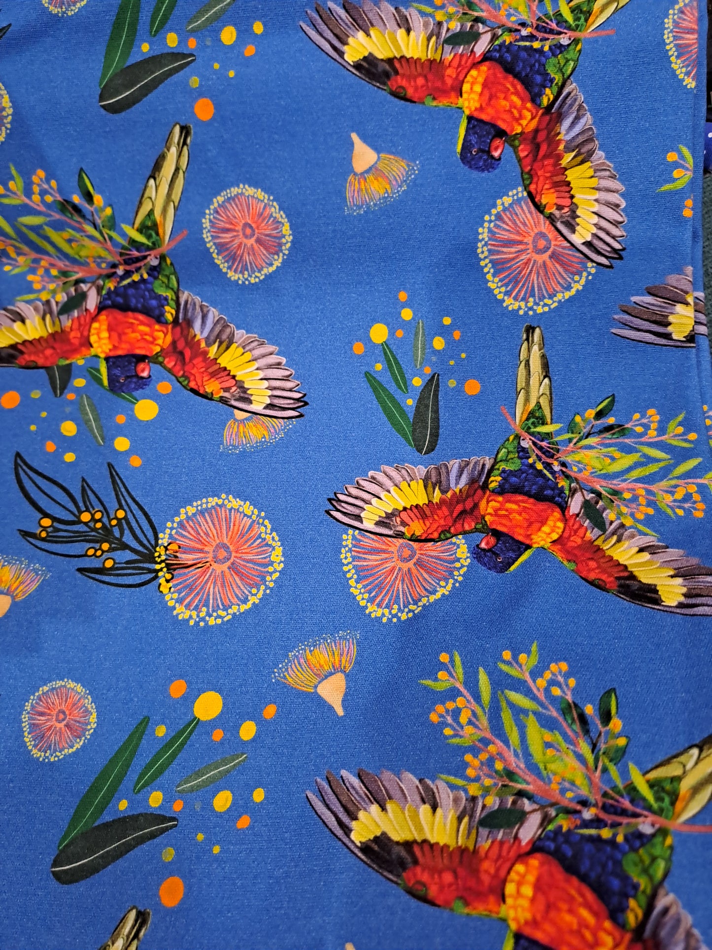 Etched Rosellas Busy Canvas 250gsm